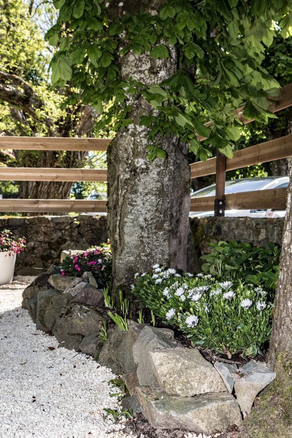 Hotel Saint Pierre Les Sauvages  Dış mekan fotoğraf